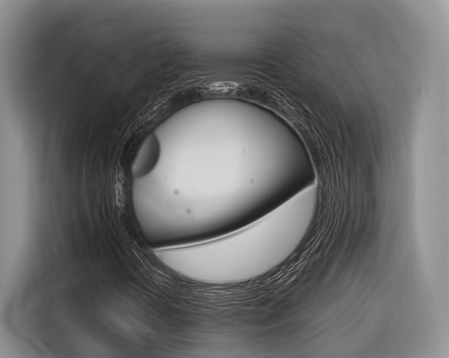 X0000116561394200912100934