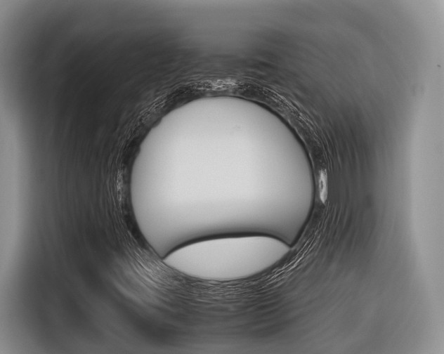 X0000116561395200912100934