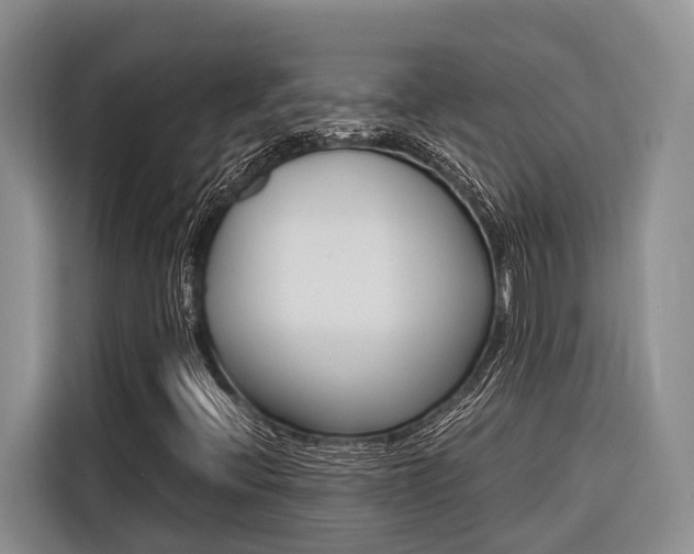 X0000116561396200912100934