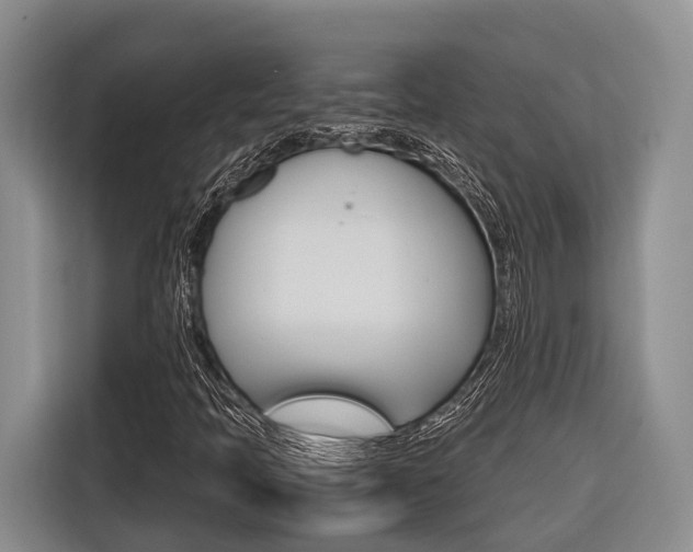 X0000116561397200912100934