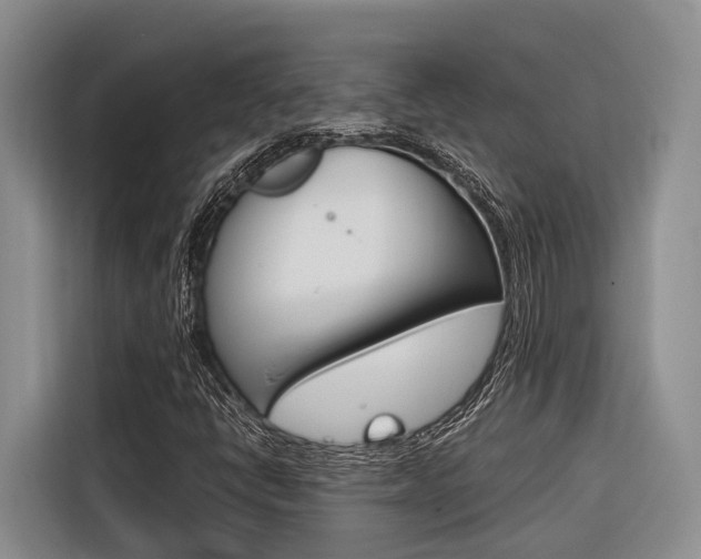 X0000116561398200912100934