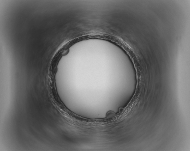 X0000116561400200912100934