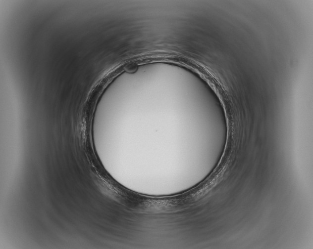 X0000116561402200912100934
