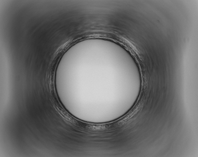 X0000116561403200912100934