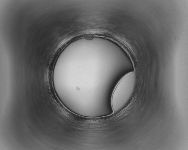 X0000116561404200912100934