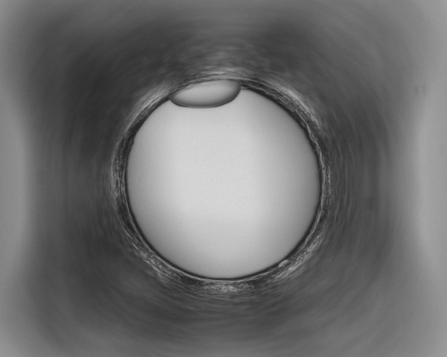 X0000116561405200912100934
