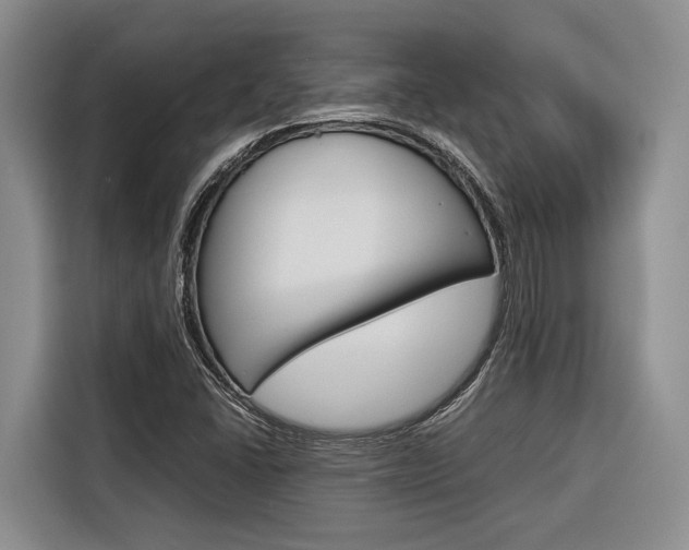 X0000116561406200912100934