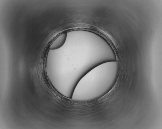X0000116561407200912100934