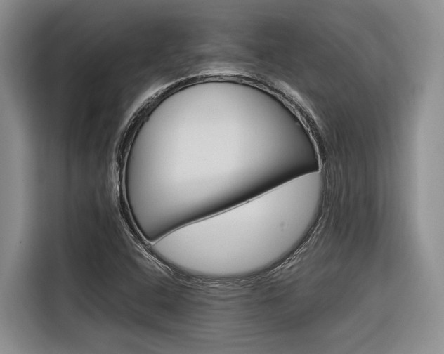 X0000116561408200912100934