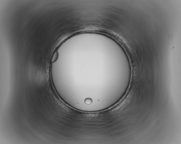 X0000116561409200912100934
