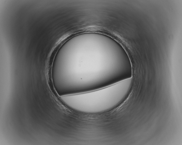 X0000116561410200912100934