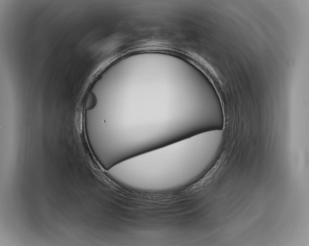 X0000116561413200912100934