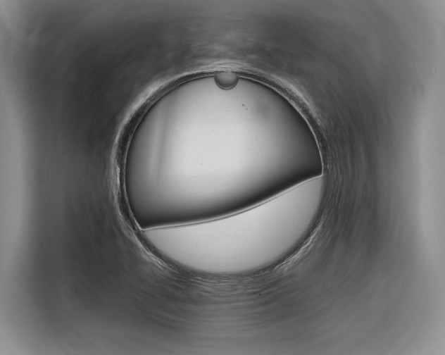 X0000116561414200912100934