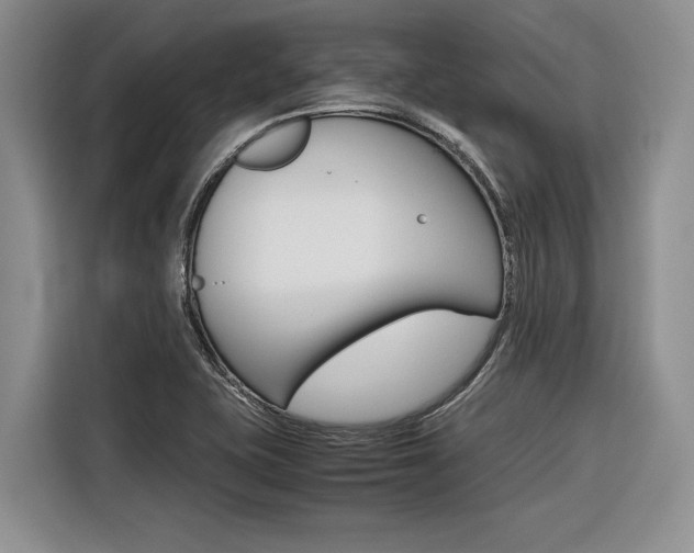 X0000116561415200912100934