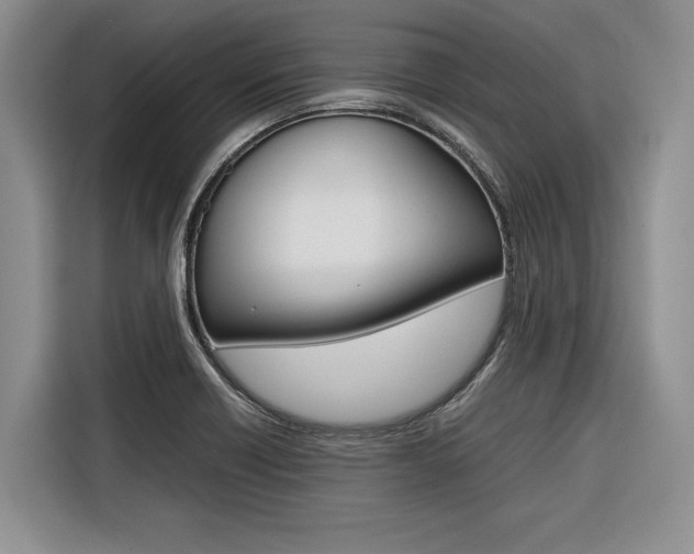 X0000116561418200912100934