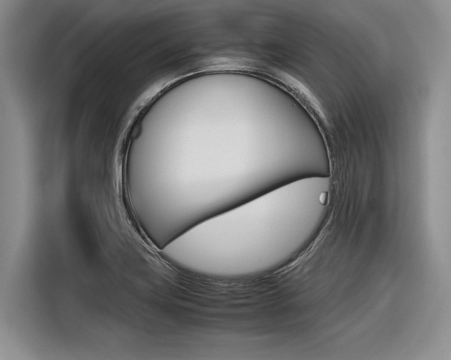 X0000116561419200912100934