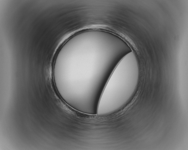X0000116561420200912100934