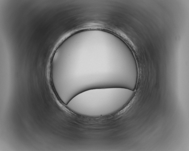 X0000116561421200912100934