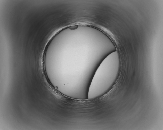 X0000116561423200912100934