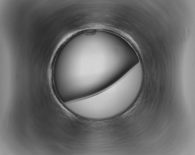 X0000116561424200912100934