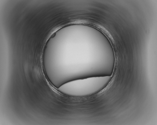 X0000116561425200912100934