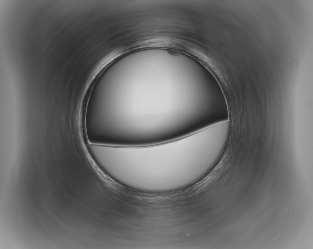 X0000116561426200912100934