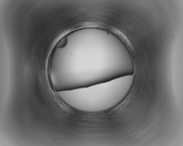 X0000116561427200912100934