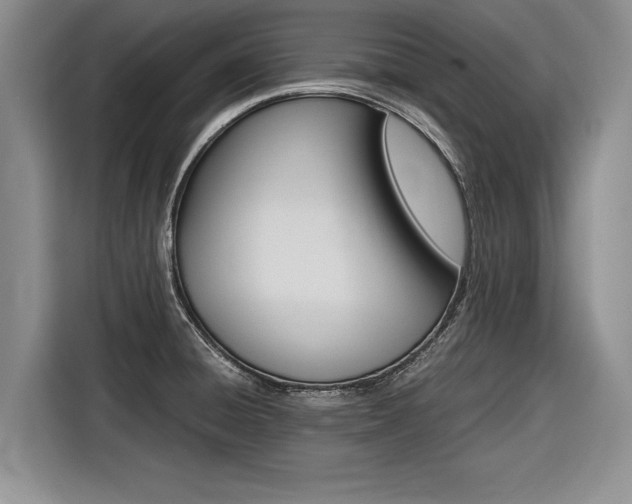 X0000116561428200912100934