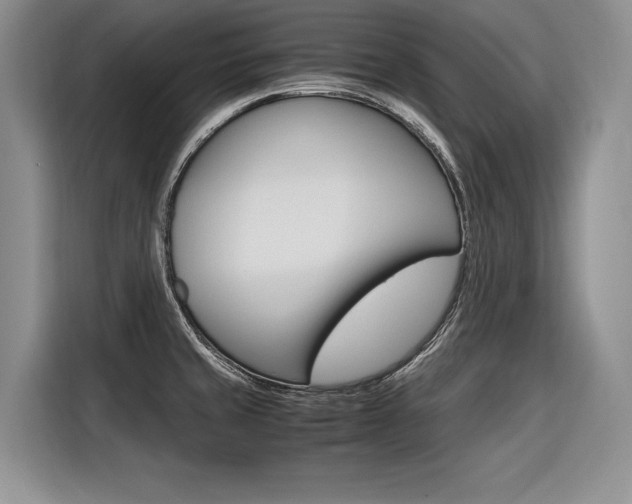 X0000116561429200912100934