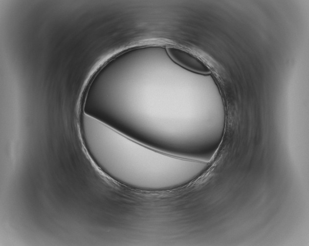 X0000116561430200912100934