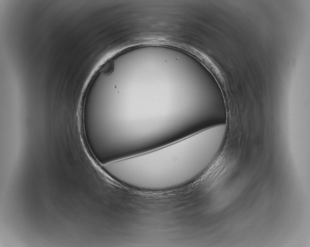 X0000116561432200912100934