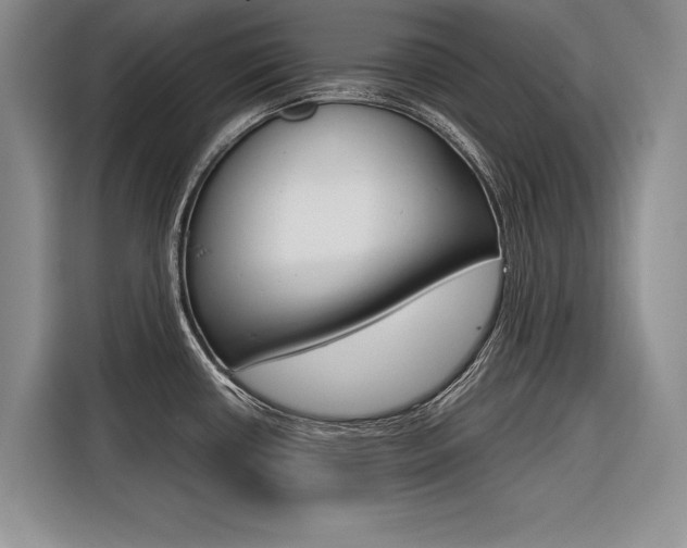 X0000116561434200912100934