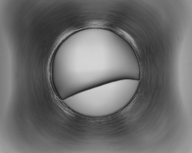 X0000116561435200912100934