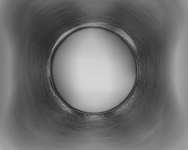 X0000116561436200912100934