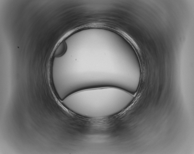 X0000116561437200912100934