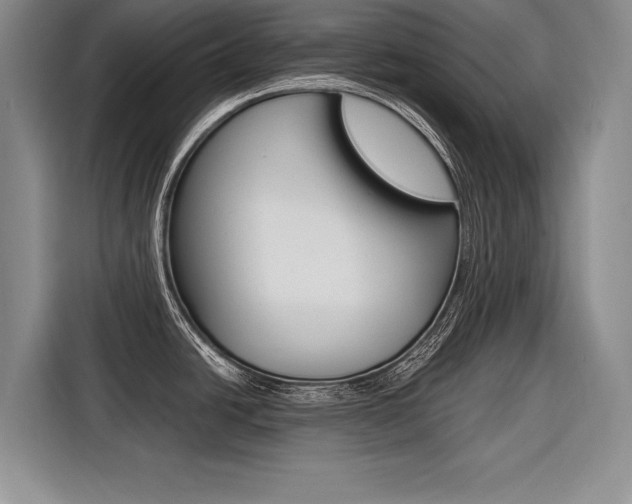 X0000116561438200912100934