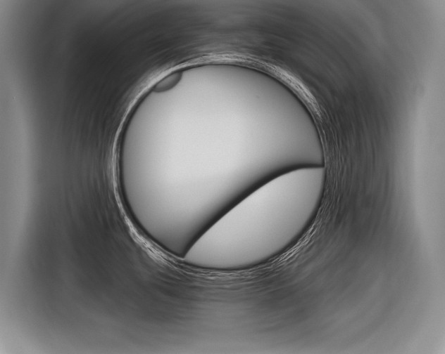 X0000116561439200912100934