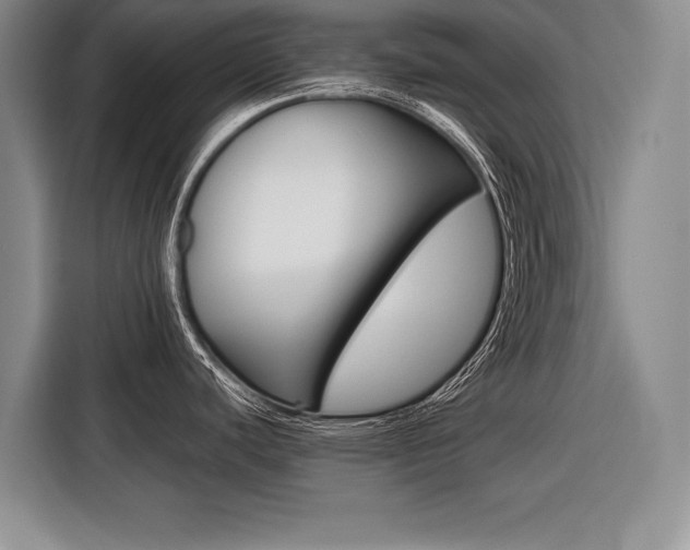 X0000116561440200912100934