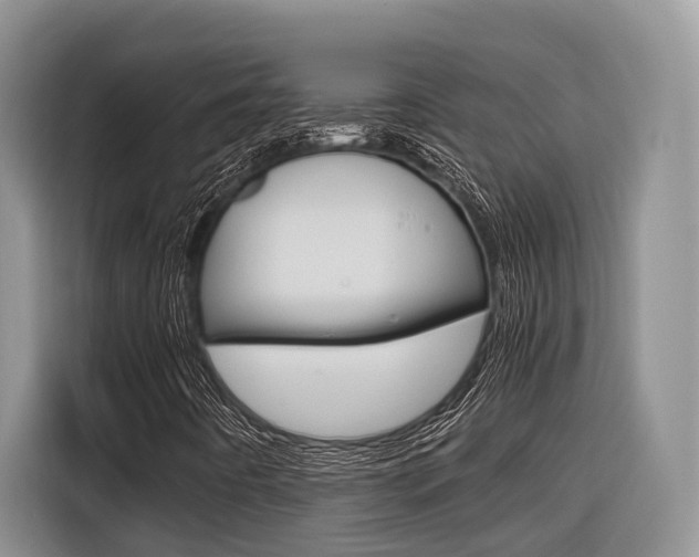 X0000116561442200912100934