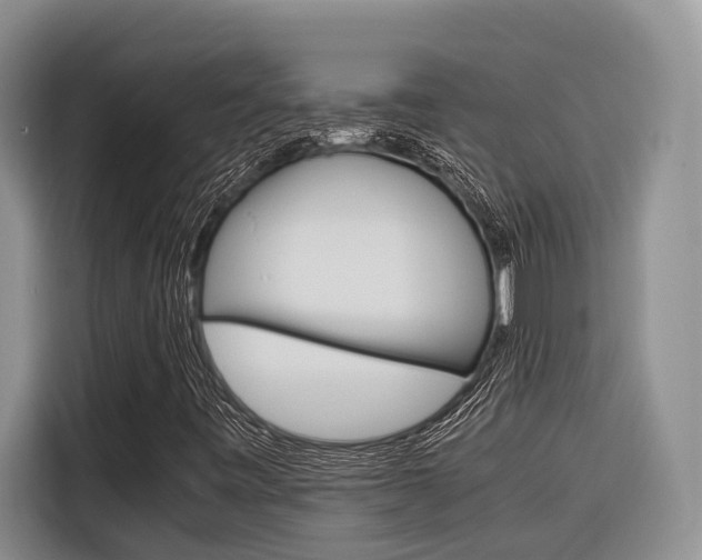 X0000116561443200912100934