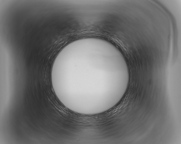 X0000116561444200912100934
