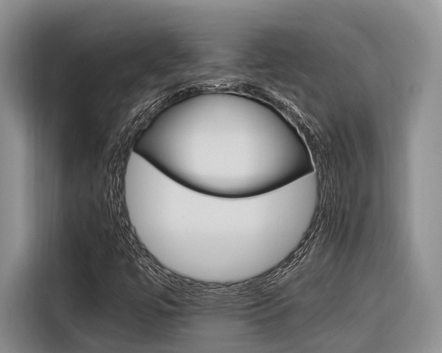 X0000116561447200912100934