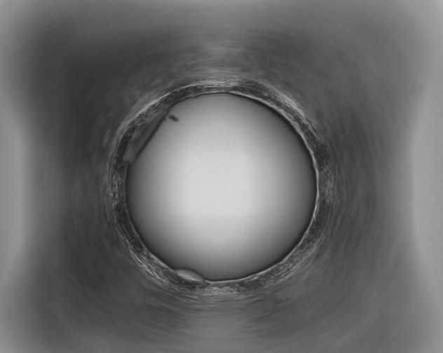 X0000116561448200912100934