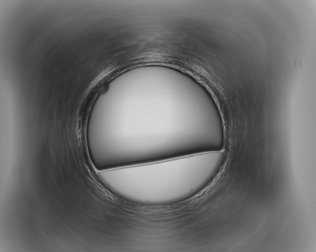 X0000116561450200912100934
