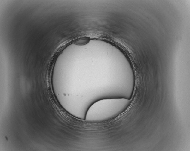 X0000116561451200912100934