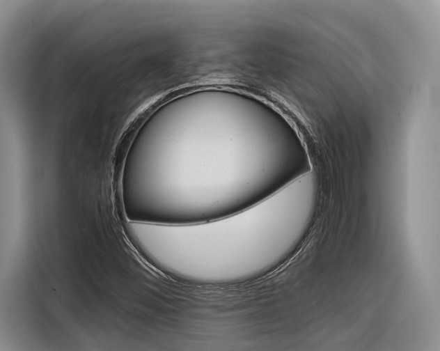 X0000116561452200912100934
