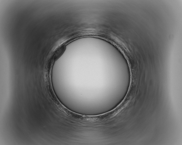 X0000116561453200912100934