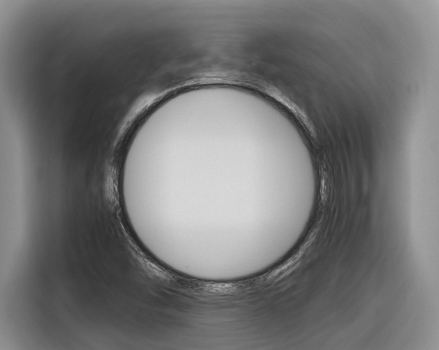 X0000116561454200912100934