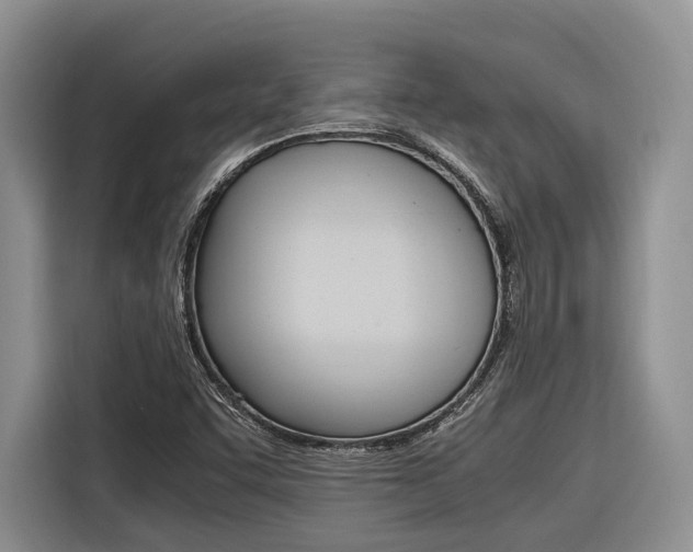 X0000116561455200912100934
