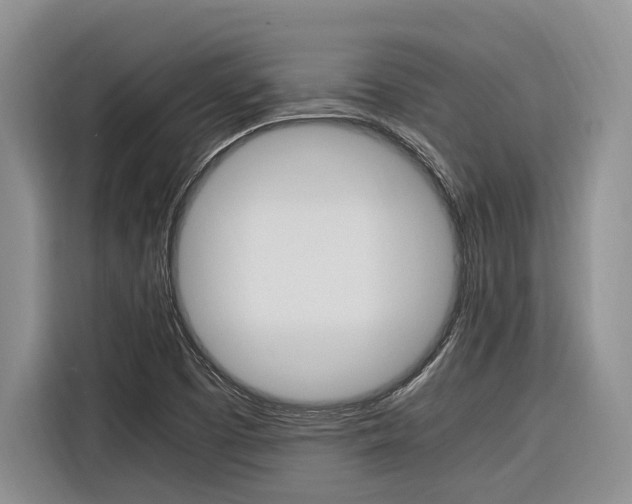 X0000116561457200912100934